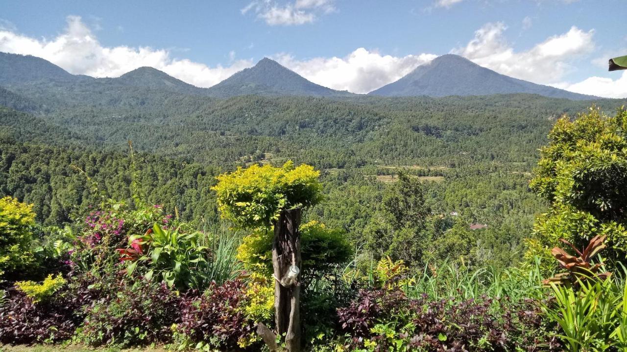 Made Oka Homestay&Warung Munduk Exteriör bild