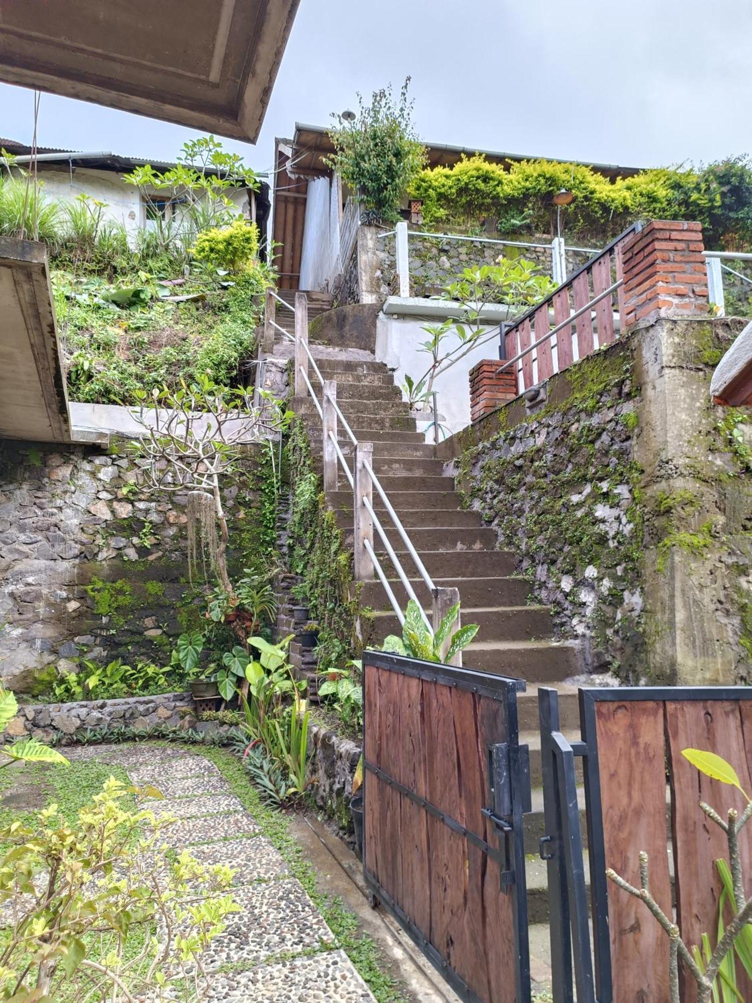 Made Oka Homestay&Warung Munduk Exteriör bild